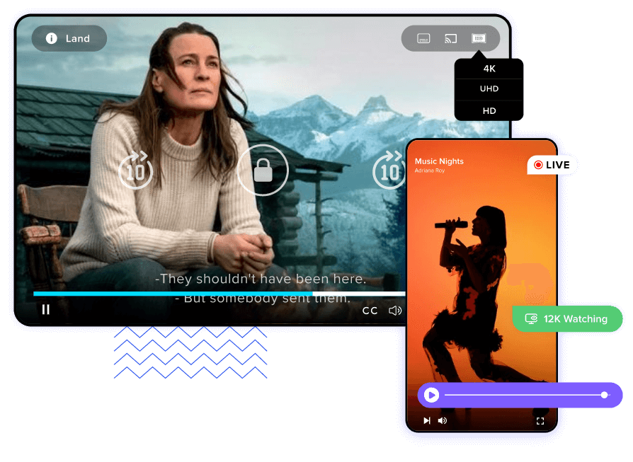 Player for video subscription services