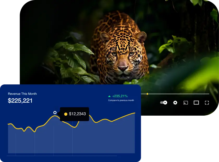 Video Analytics Features