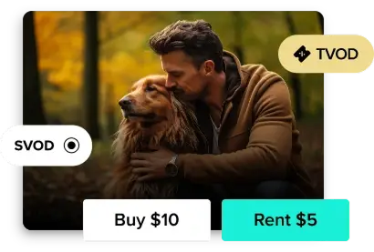 ad-free and ad-supported VOD  streaming services